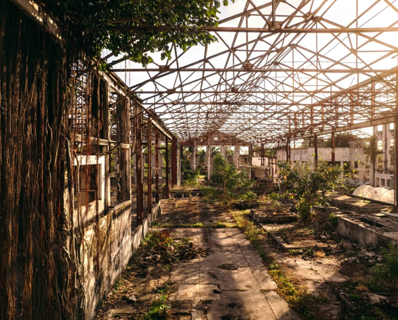 usine